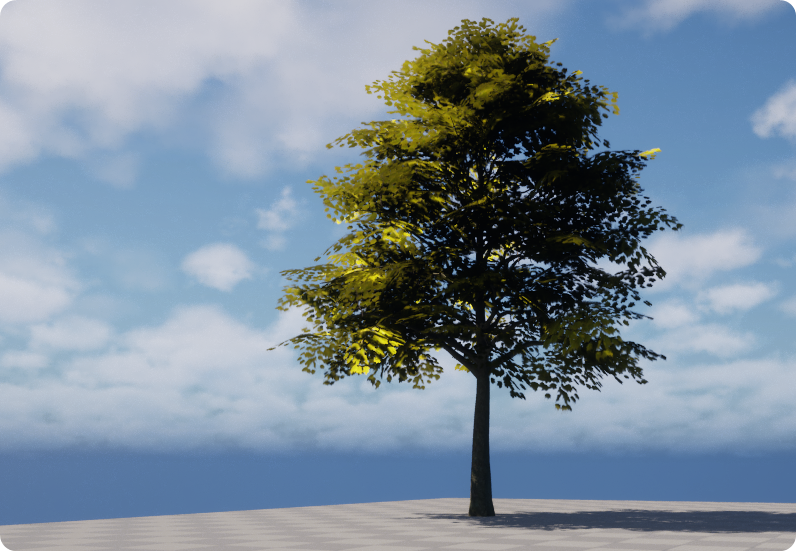 A Tree!